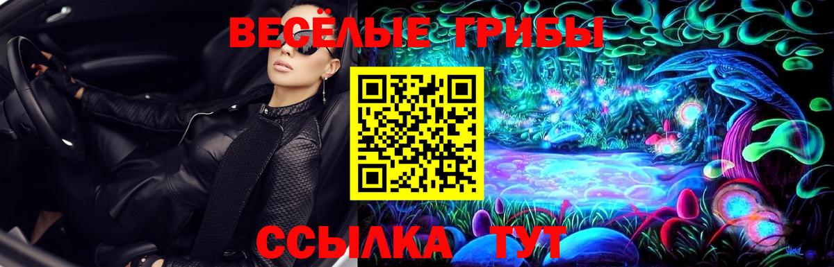 Сафоново  Галлюциногенные грибы ЛСД  Вход с VPN 